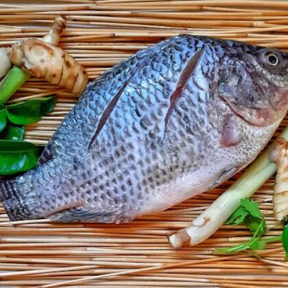 Tilapia Medium - Fillet 250 g (3-6 pcs) - Fresh, Never Frozen