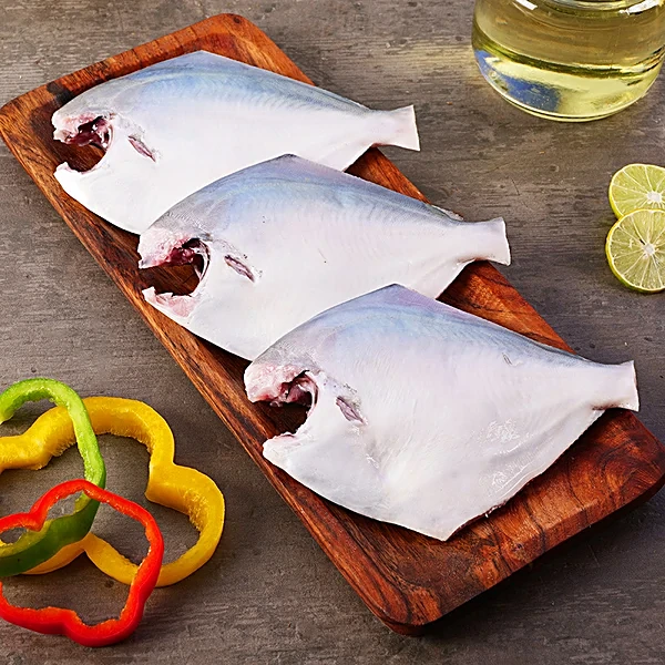 White Pomfret