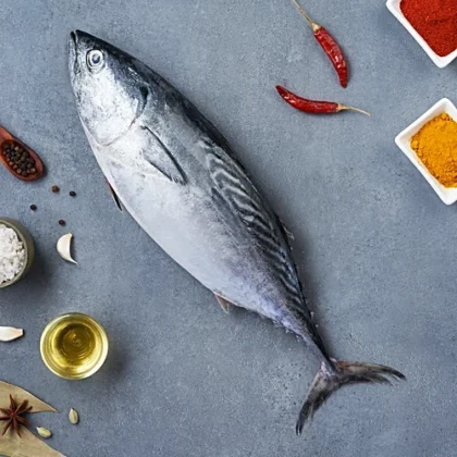 Tuna Fish Blue
