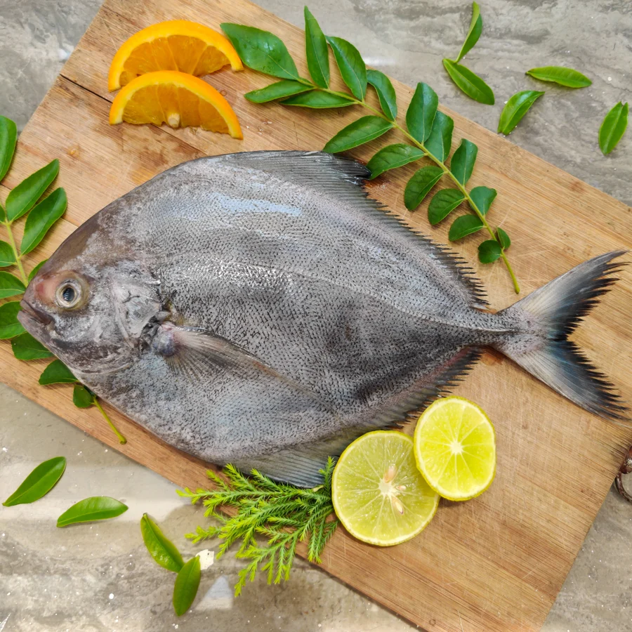 Black Pomfret